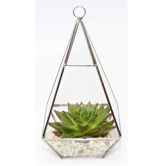 Top 10 Terrariums | Ideal Home