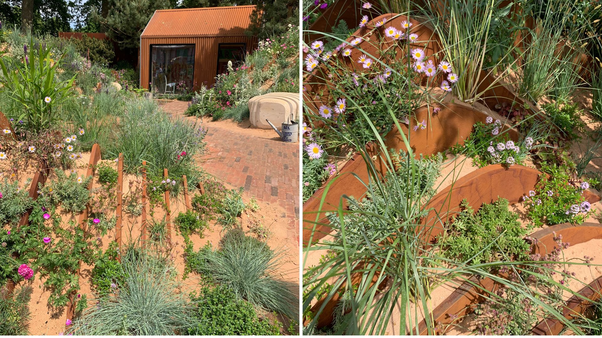 Compilation garden images to show RHS Chelsea garden Show 2025 highlights