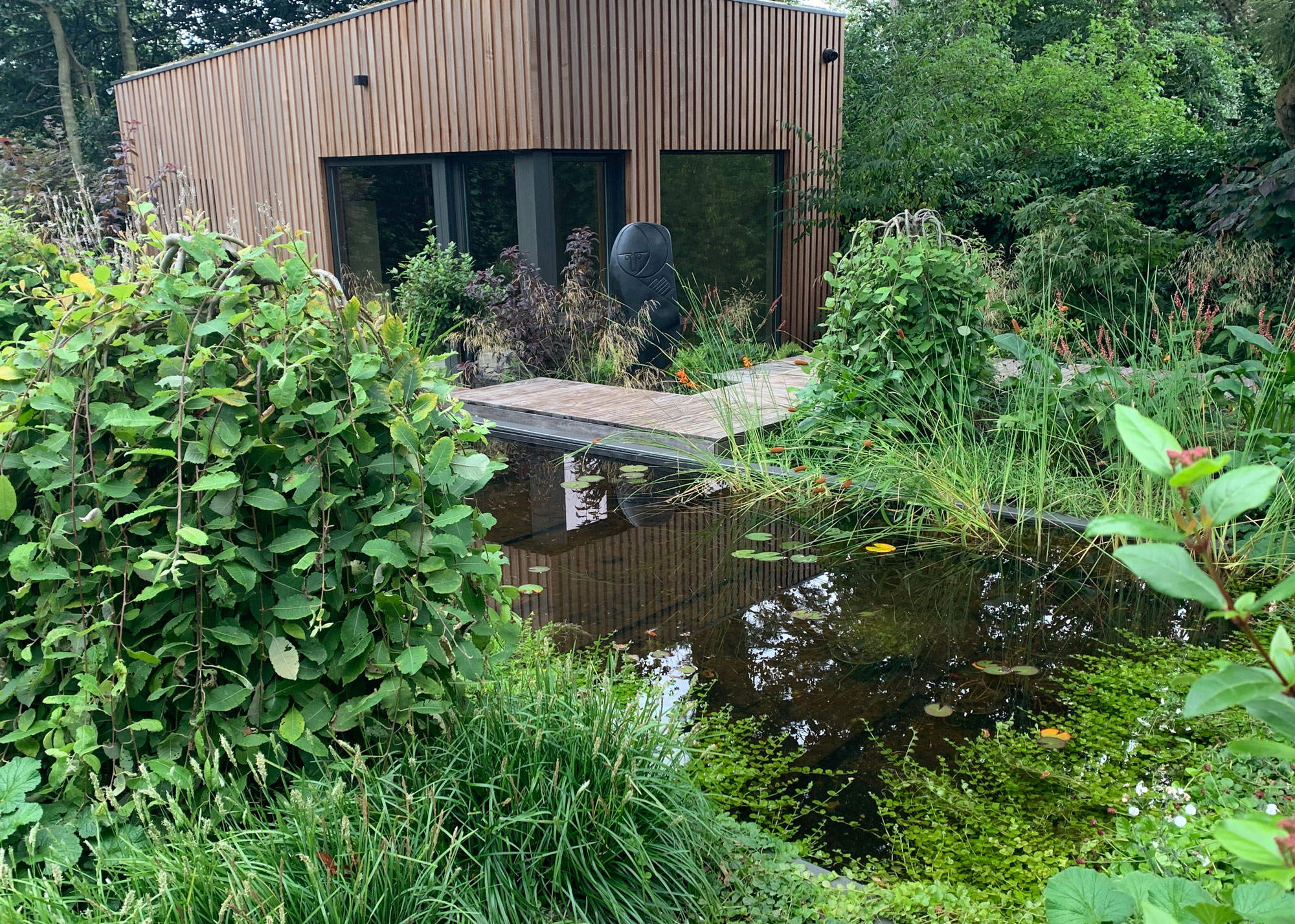 garden room with water garden, sculpture and planting