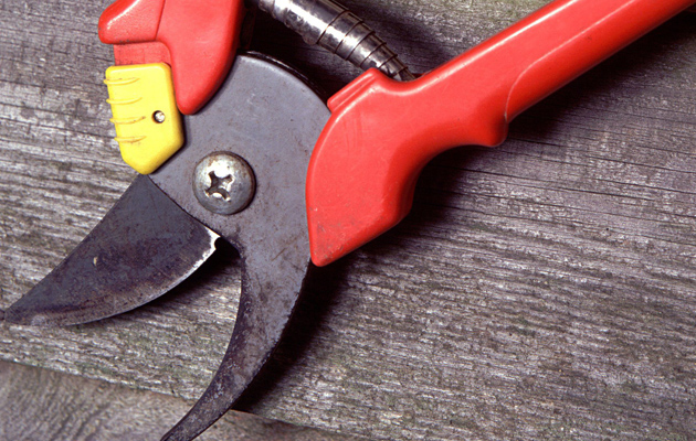 Secateurs