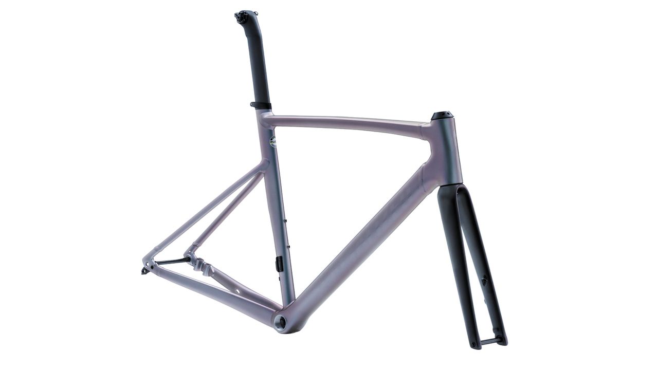 Specialized Allez Sprint Frameset
