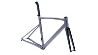 AllezSprintスペシャライズドフレームセット