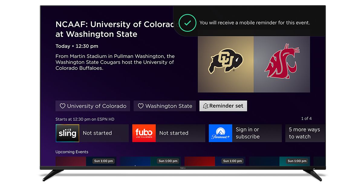 New Roku software features