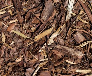 dry bark chippings