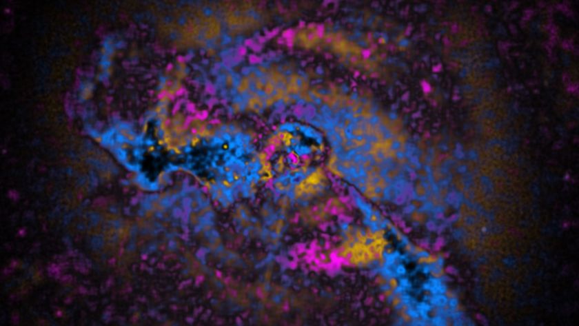 Swirls of blue, yellow and purple lights show the shape of a galaxy cluster in space