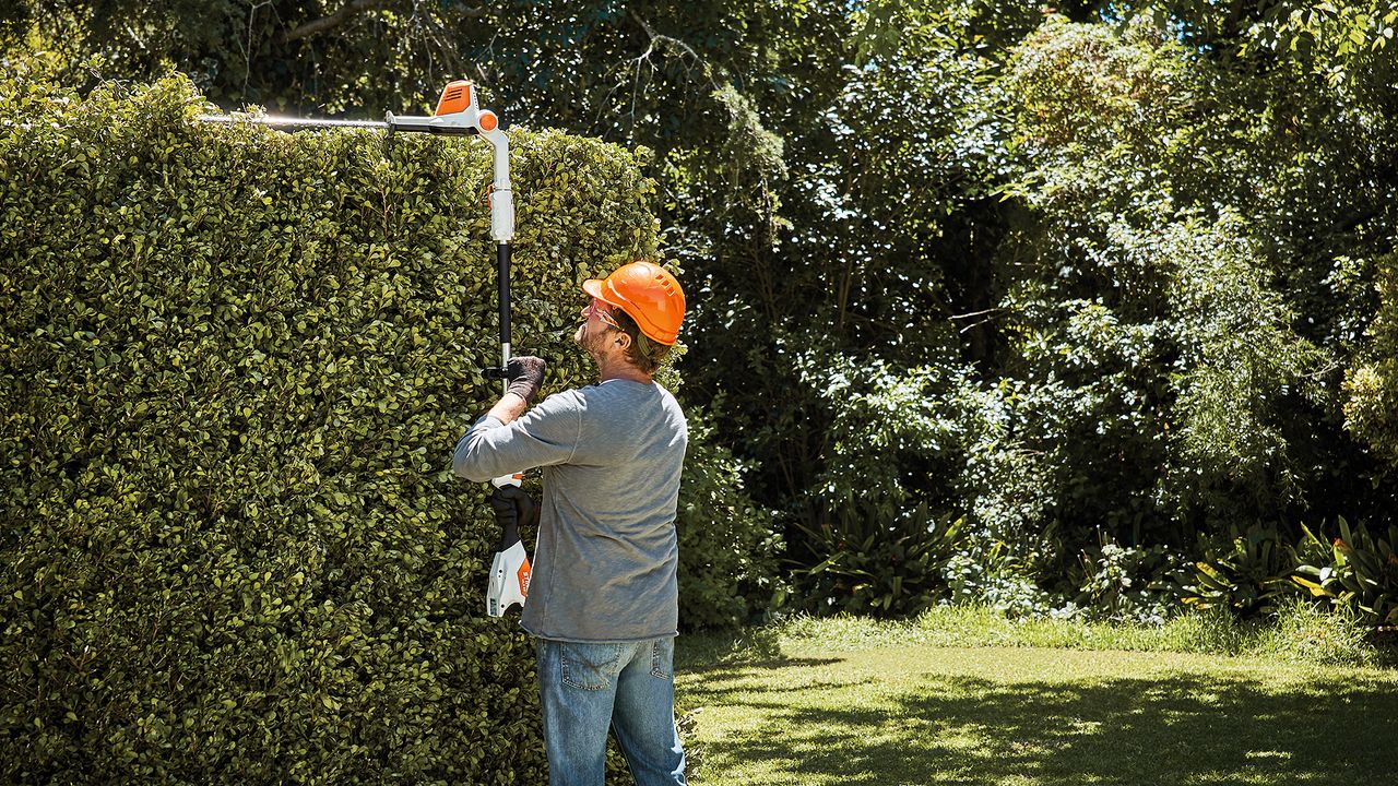 Stihl HLA 56 cordless hedge trimmer