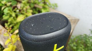 Ultimate Ears Everboom portable speaker in garden