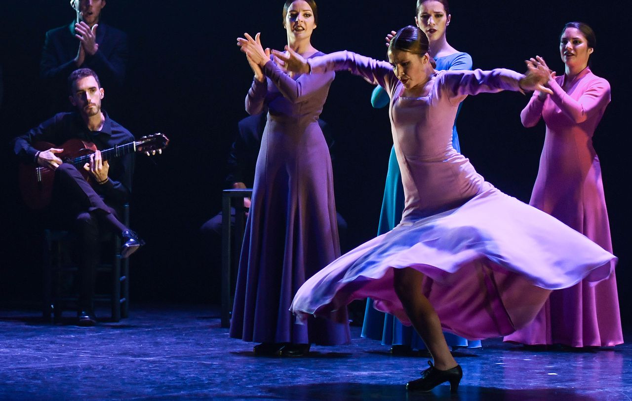 The Andalusian Flamenco Ballet in action