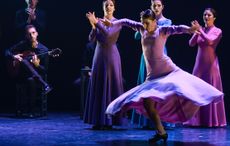 The Andalusian Flamenco Ballet in action