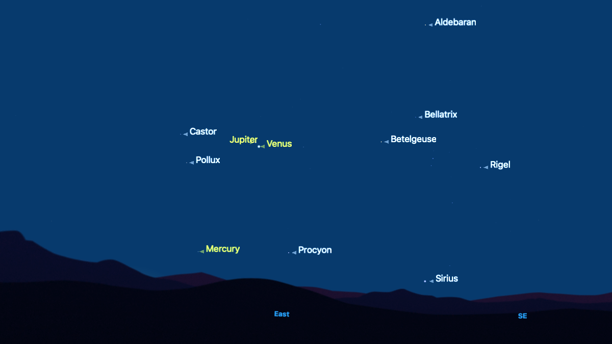 A simulation of the night sky for Aug. 12 showing the positions of the planets and prominent stars against a dark blue sky above a silhouetted black horizon. Jupiter is shown close to the left of Venus in the eastern sky, with Mercury positioned below the pair, close to the horizon.
