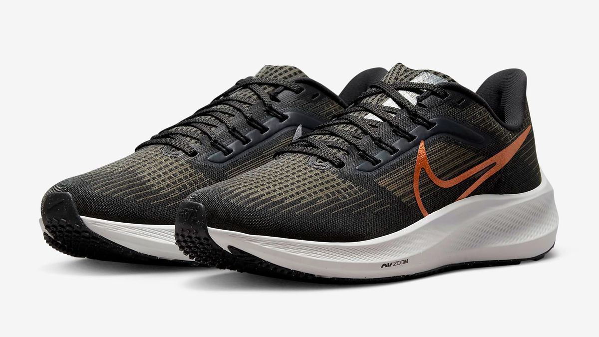 Grab The Nike Pegasus 39 For As Little As $62 In The Nike Summer Sale ...