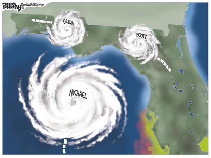 Political cartoon U.S. Florida hurricane governor race Michael Ron DeSantis Andrew Gillum