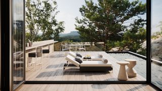 deck with pool and sun loungers from Harris Harris