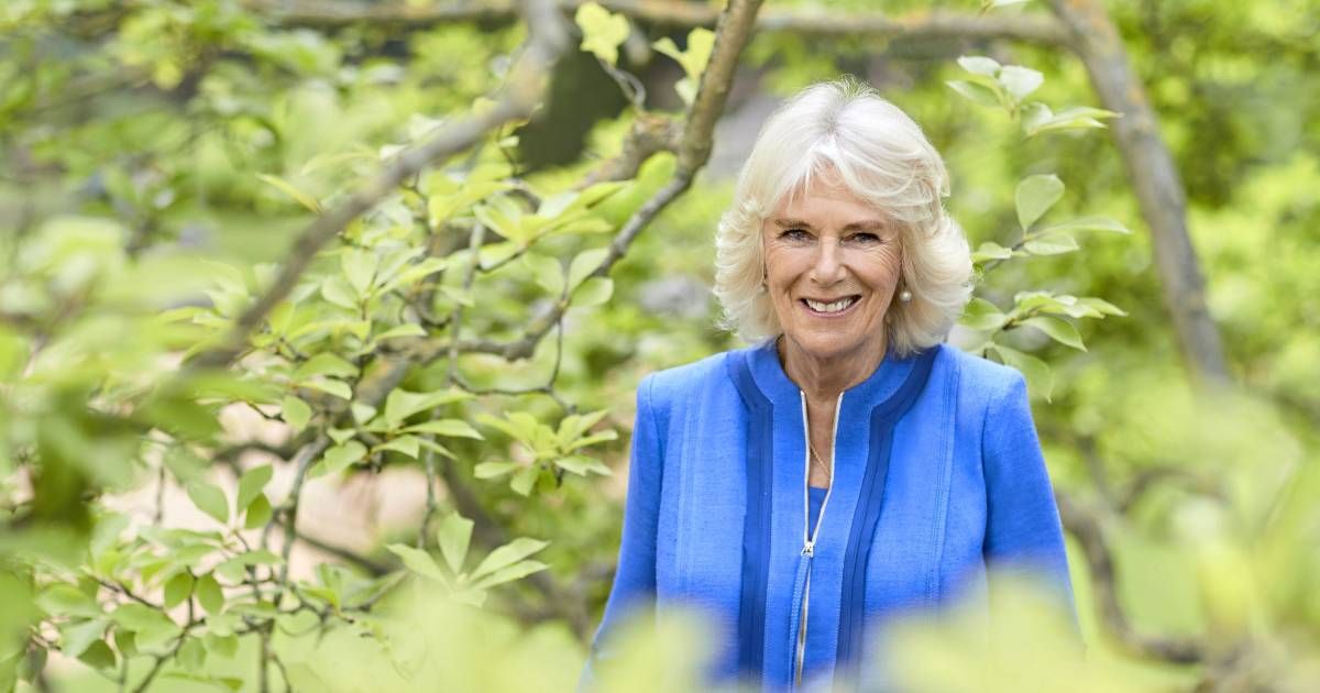 La reine consort Camilla s'est envolée pour l'Inde pour séjourner dans une retraite de bien-être