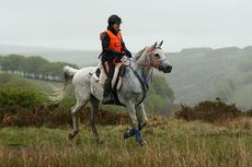 Fantom-day-1-Horseshoe.jpg