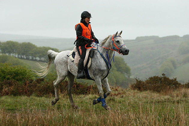 Fantom-day-1-Horseshoe.jpg