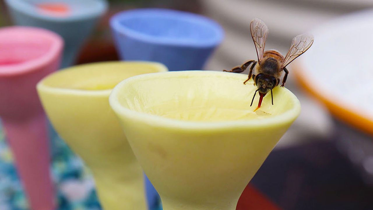 Bee drinking water out of colorful bee cups for the garden