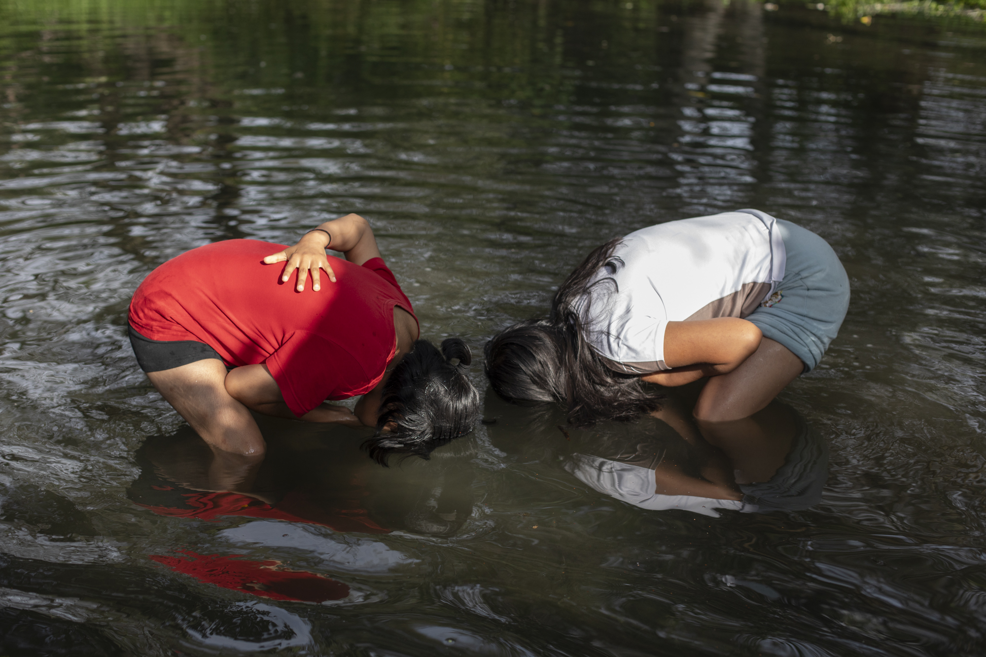 Two people bend forward with their heads submerged in shallow water in a natural setting.