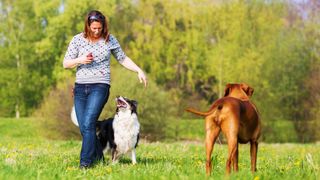 Woman dancing with her dog