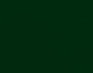 A dark green paint color