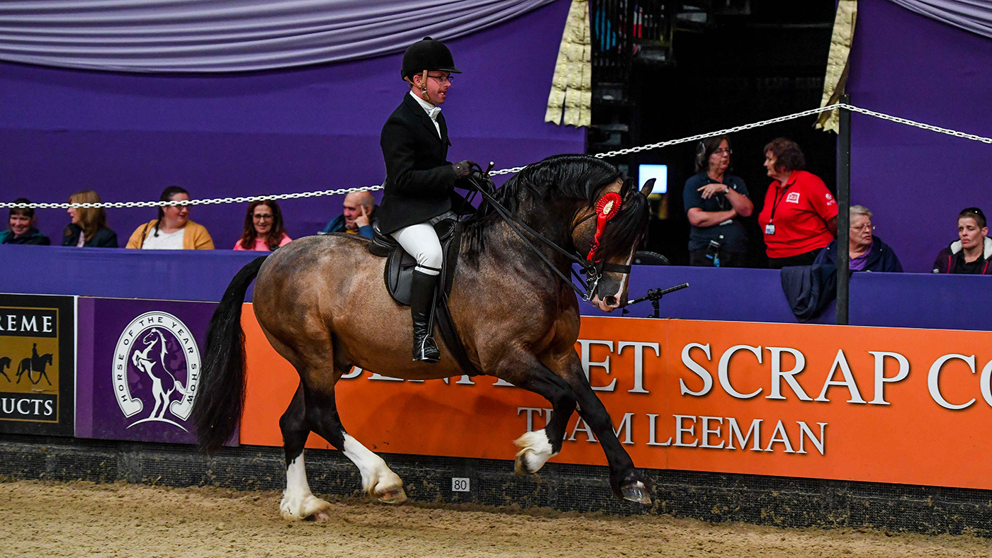 Menai Eurostar is HOYS M&amp;amp;M supreme