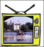 tv.jpg