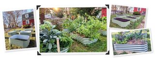 Various photos of raised garden beds.