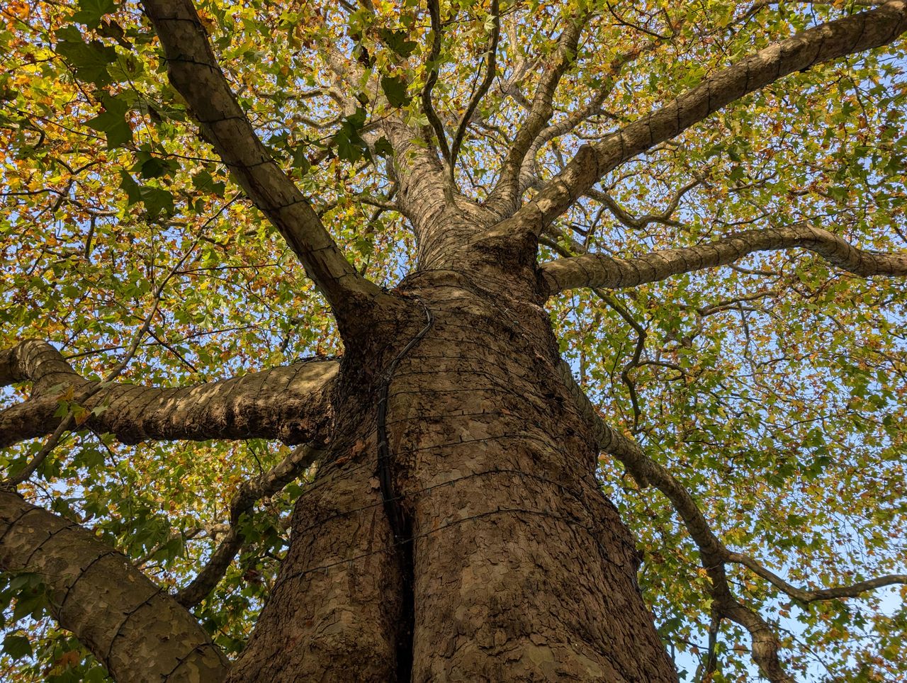 Sample image from Google Pixel 9 Pro