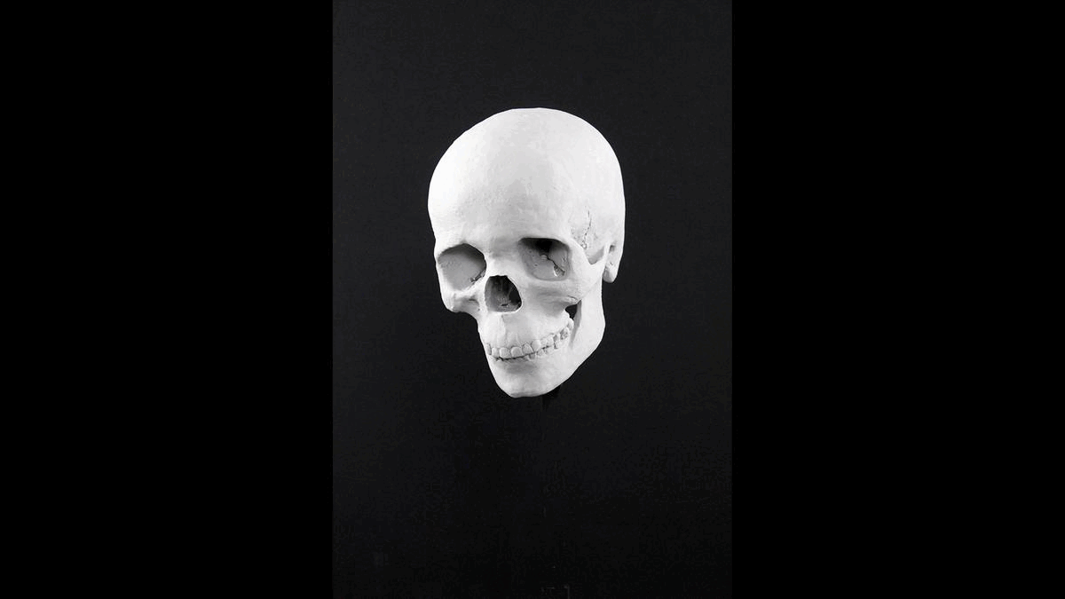 GIF of facial reconstruction process at the Kilmartin Museum.