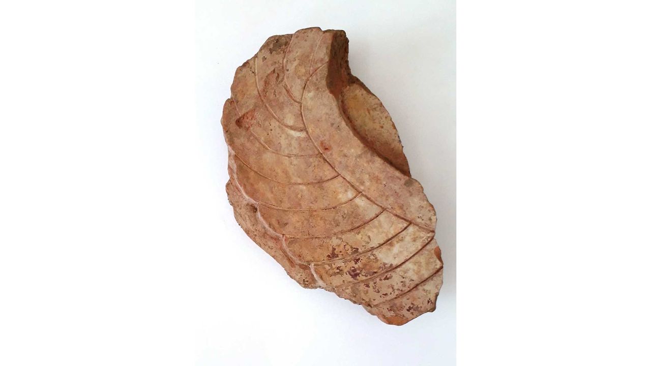 A clay wing of a mythical form that was once part of an architectural relief, probably the pediment of a temple dating to 560 B.C.