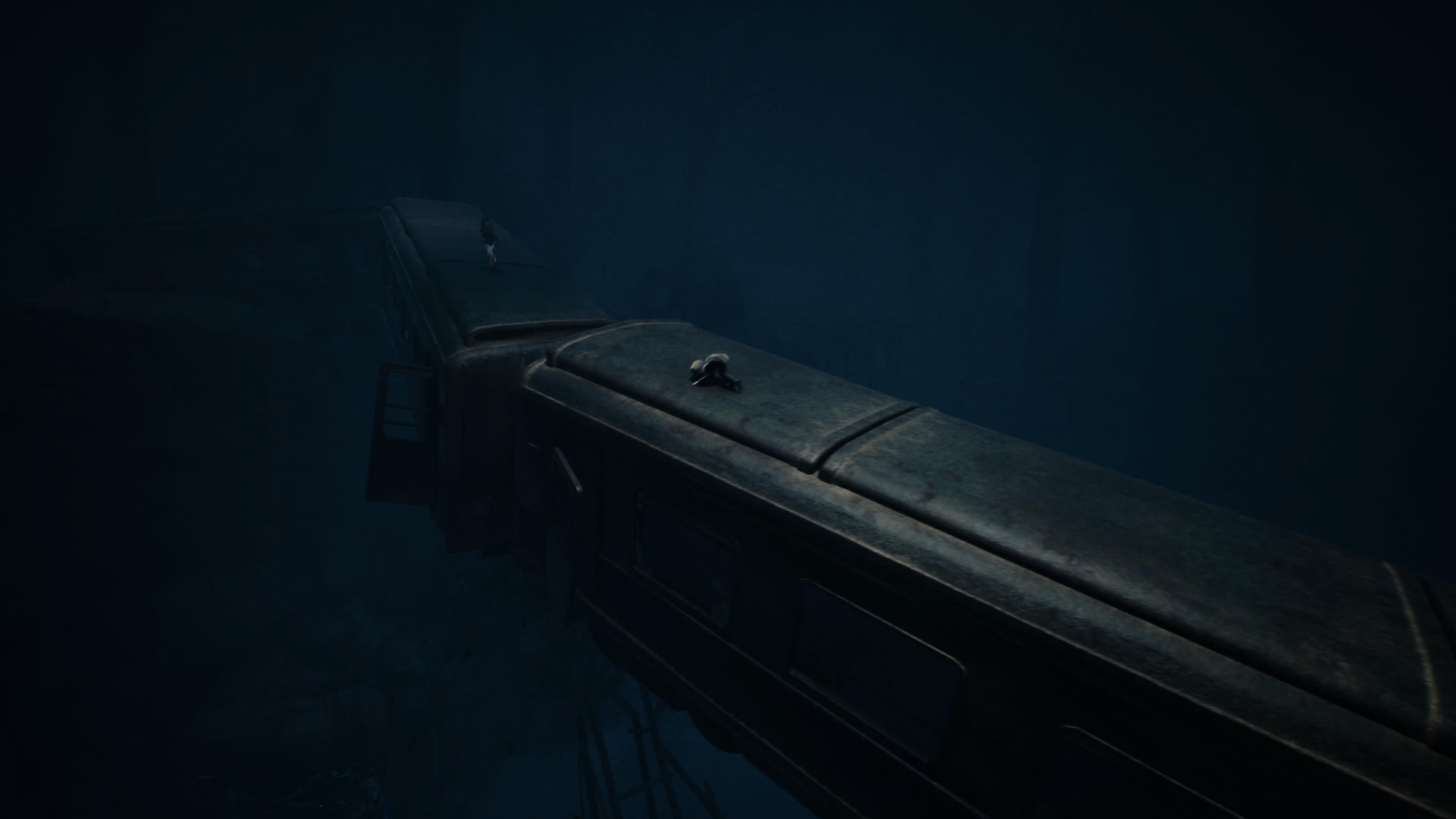 Reanimal screenshot taken on PS5 Pro