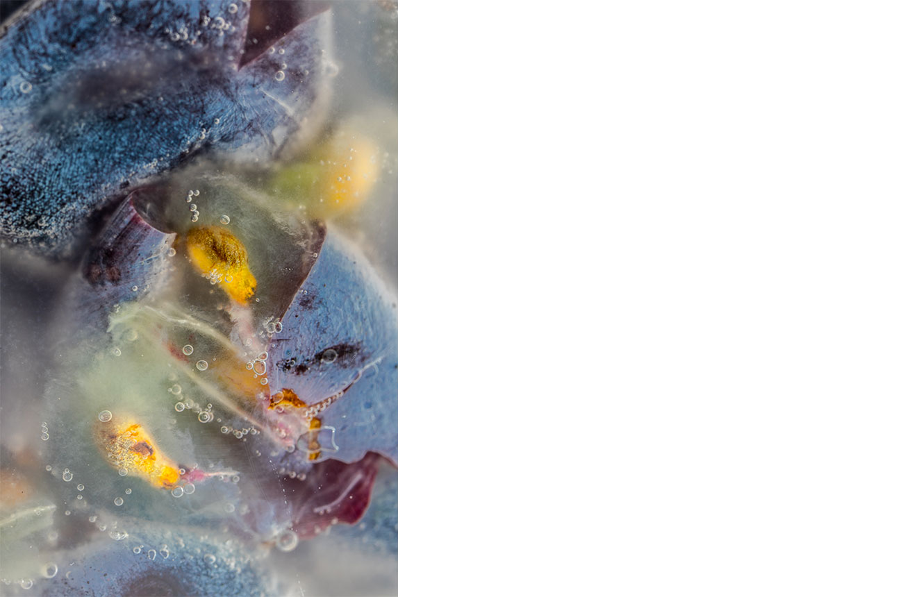 Guenhae&amp;#776;l Kessler's photograph In the Tank During Alcoholic Fermentation. which won the Produce category in Errazuriz Wine Photographer of the Year 2024