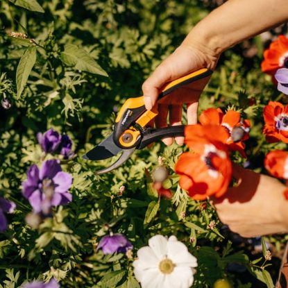 woman's hand cutting flowers with fiskars smartfit steel bypass pruners
