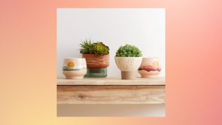A picture of four ceramic plant pots