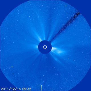 Comet Lovejoy as Viewed by SOHO
