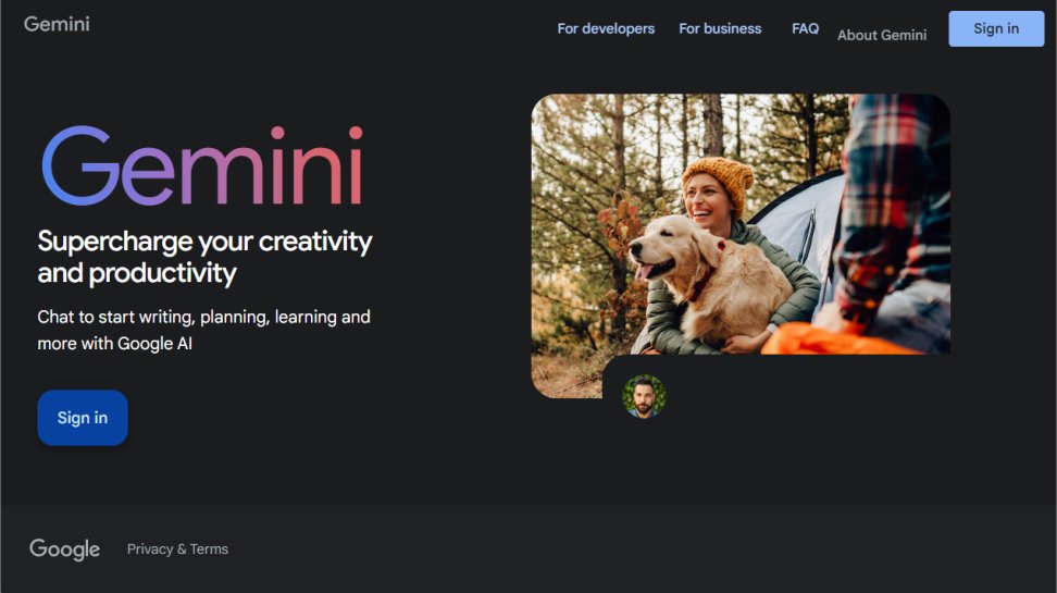 Google Gemini website screenshot (July 2025).