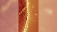 close up image of the sun's surface shows huge fiery looking tendrils reaching out from the surface of the sun as giant loops of plasma frolic above the solar surface.