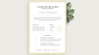 CV template