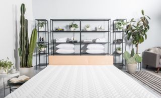 Wright's innovative, American-made mattress is set to be a sleeper hit