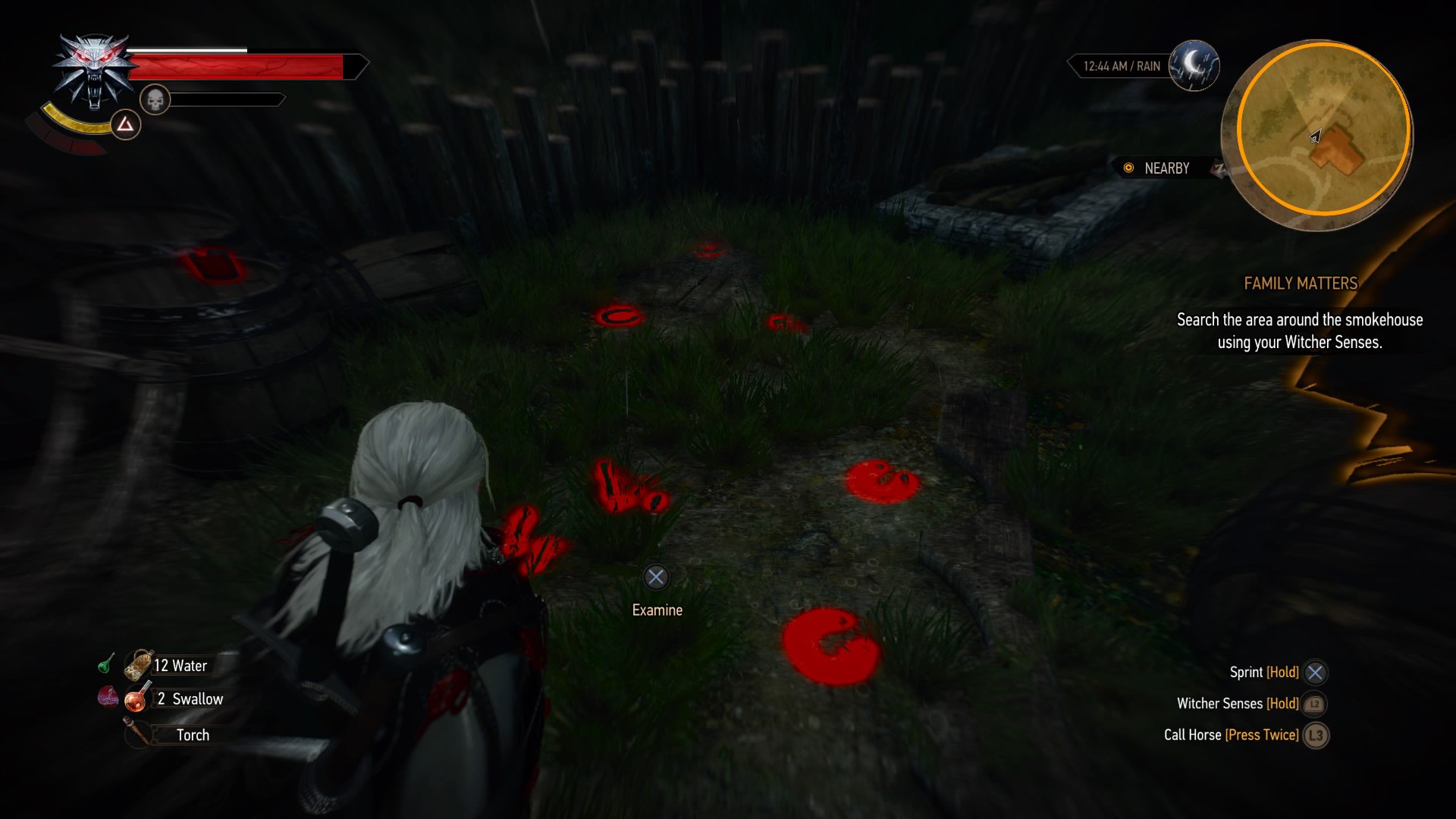 the witcher 3 family matters horse clue