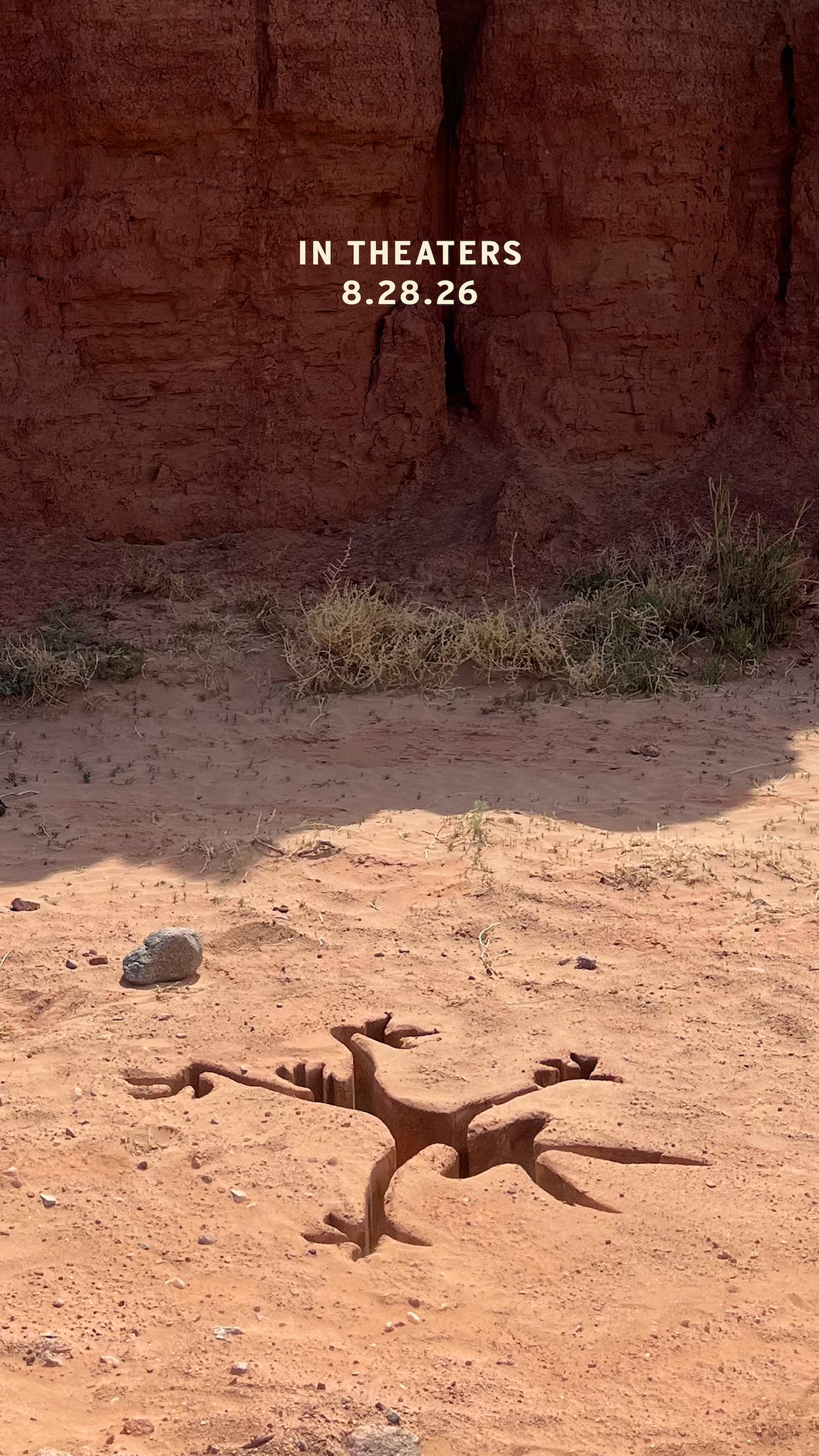 Coyote vs. Acme poster