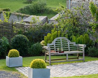 bench in lovely devon garden with potted shrubs and natural woven fence