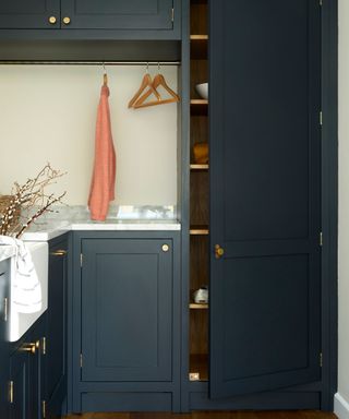 dark blue painted utility space with wooden shelving