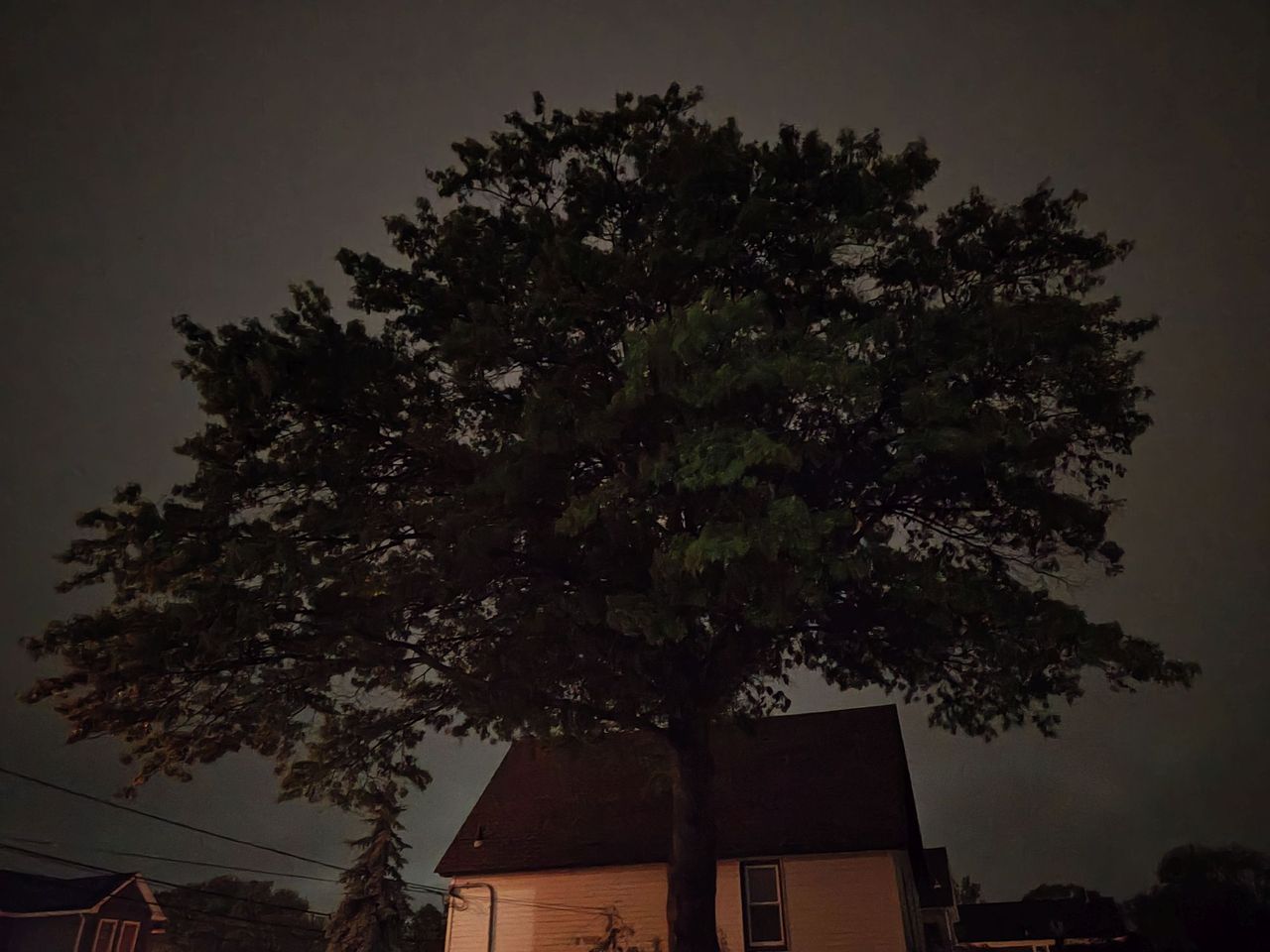 Motorola Razr Plus 2024 low light sample.