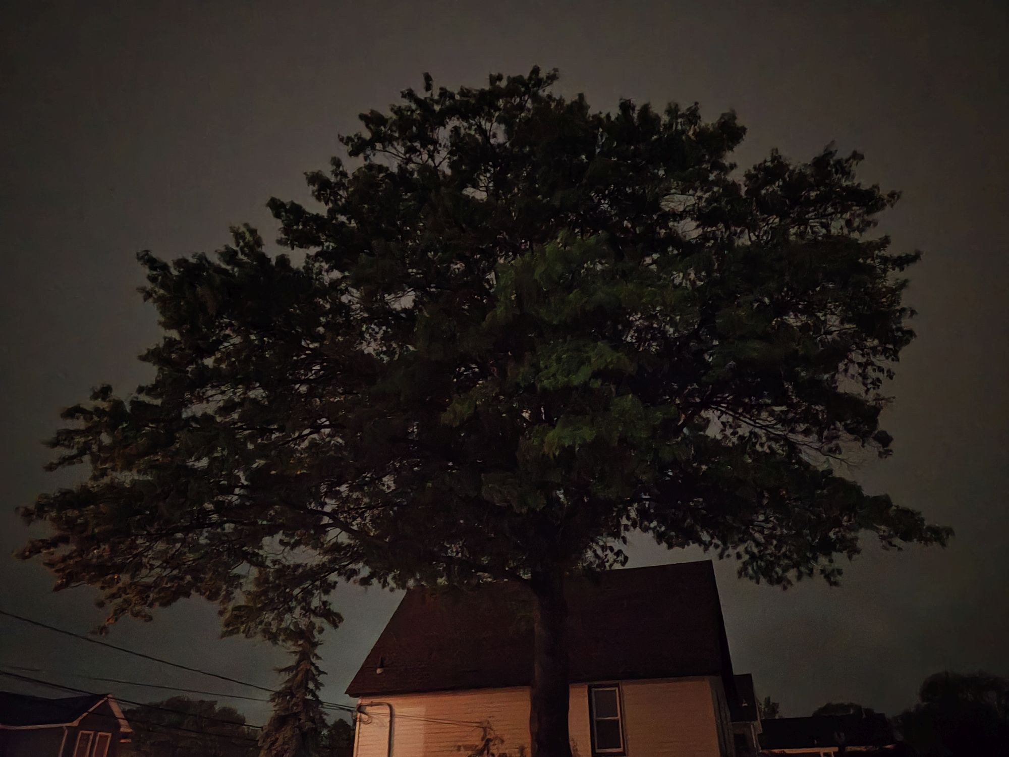 Motorola Razr Plus 2024 low light sample.