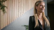 Gwyneth Paltrow's favourite kitchen appliances 