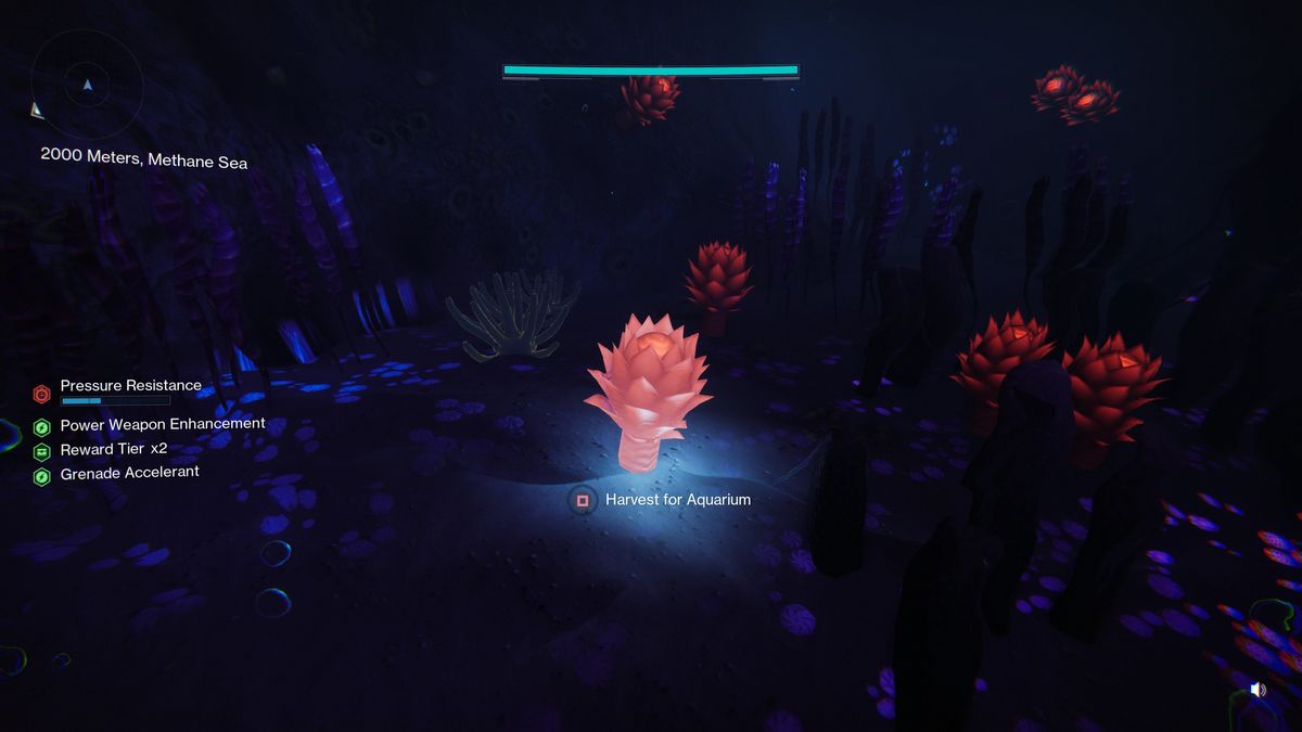 Destiny 2 Deep Dive secrets - Midnight Flora