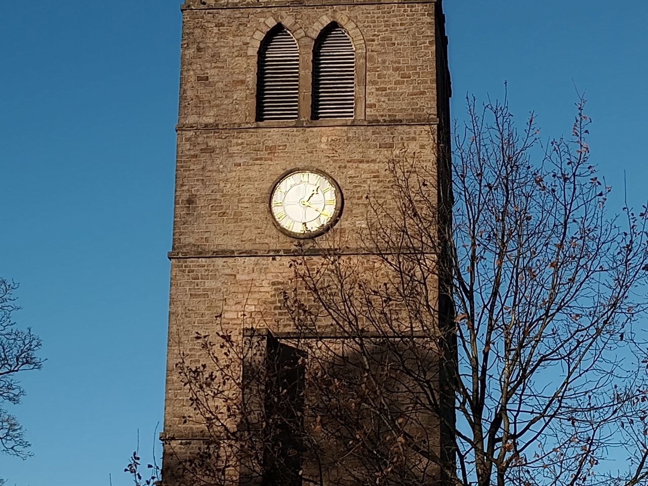 Moto G31 camera sample