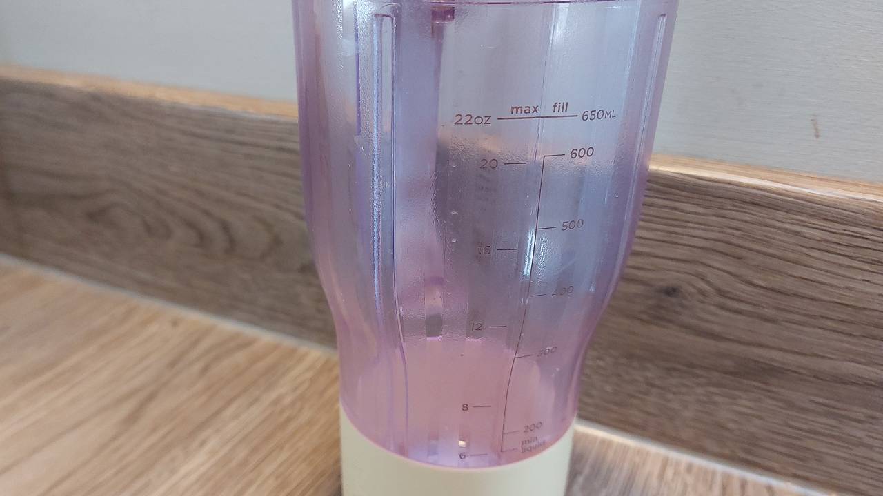 Ninja BlendBoss review