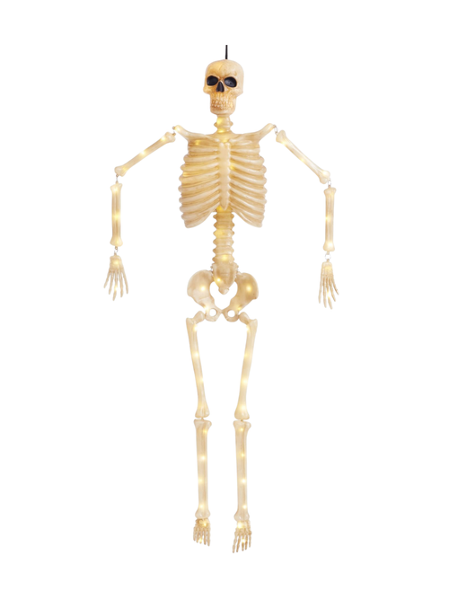 Lit Mr. Bones